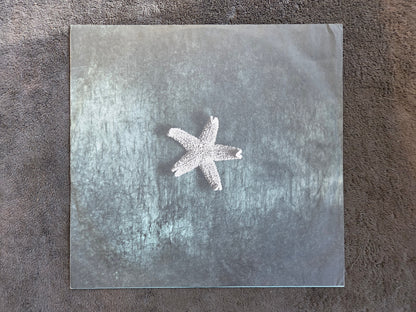 CHURCH STARFISH