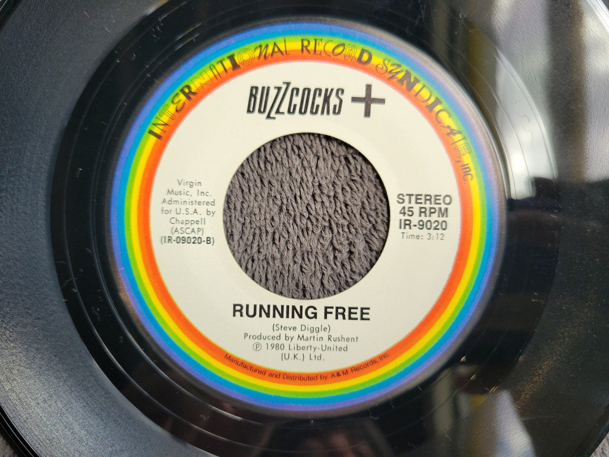 BUZZCOCKS RUNNING FREE WHAT DO YOU KNOW PS PICTURE SLEEVE