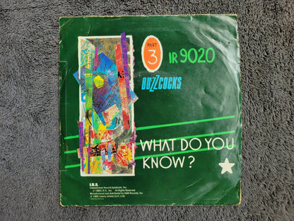 BUZZCOCKS RUNNING FREE WHAT DO YOU KNOW PS PICTURE SLEEVE