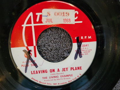 LIVING EXAMPLE OUTSIDE MY WINDOW LEAVING ON A JET PLANE WHITE LABEL PROMO