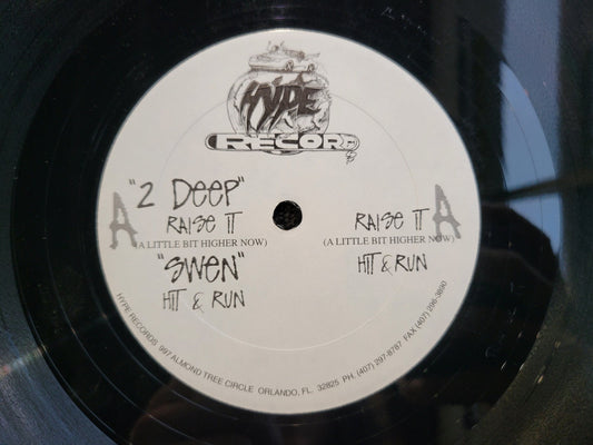 2 DEEP SWEN RAISE IT HIT & RUN HYDE RECORDS 12"