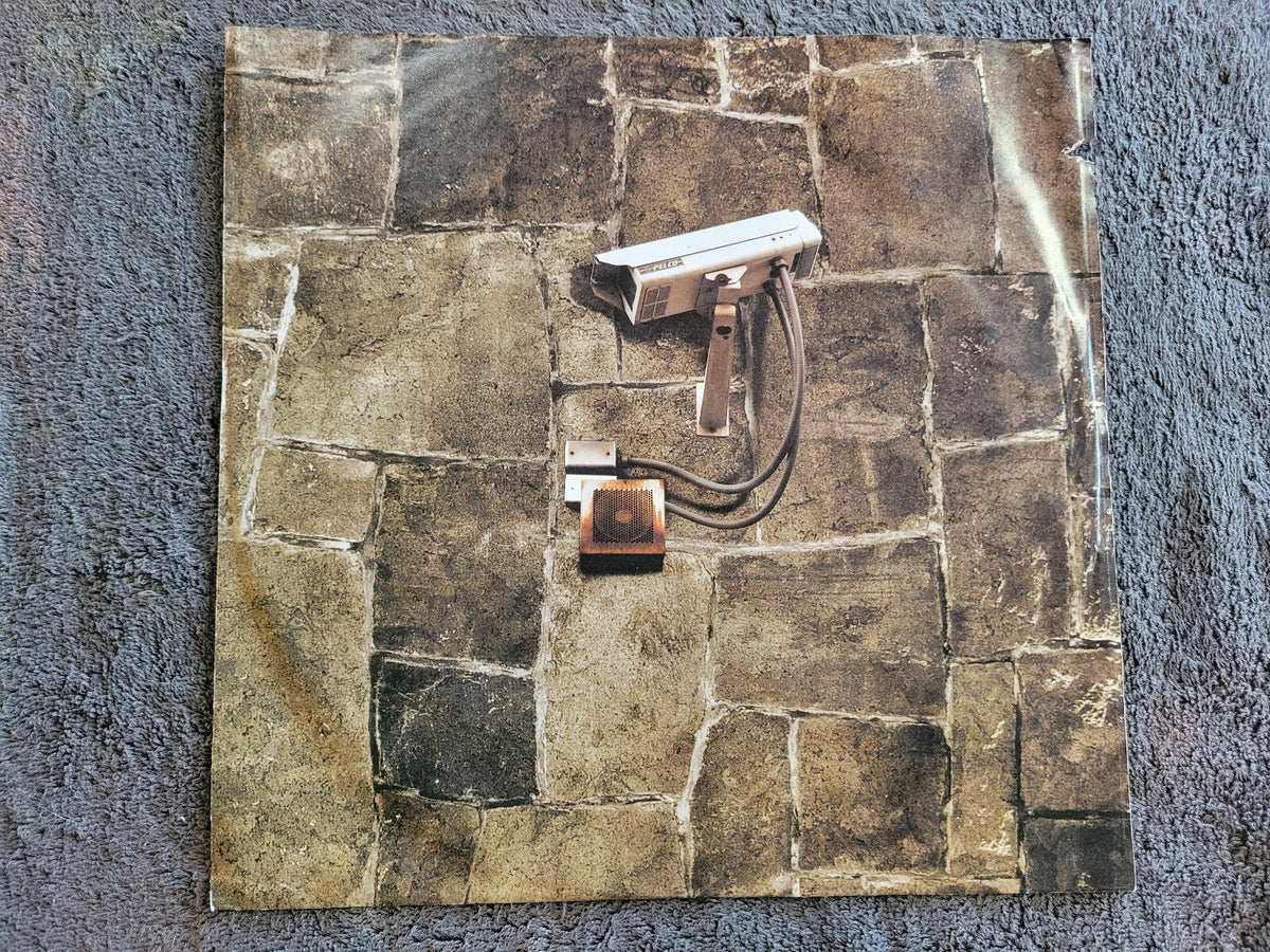 LIFESAVAS SPIRIT IN STONE