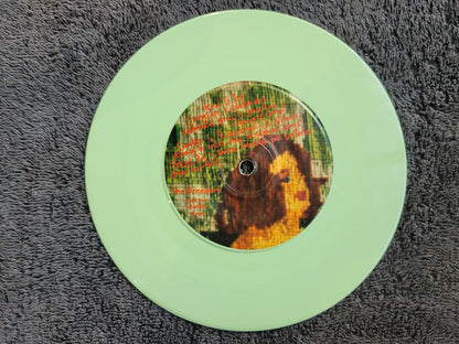 BREEDERS HEAD TO TOE MINT GREEN VINYL PS PICTURE SLEEVE PIXIES