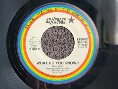 BUZZCOCKS RUNNING FREE WHAT DO YOU KNOW PS PICTURE SLEEVE