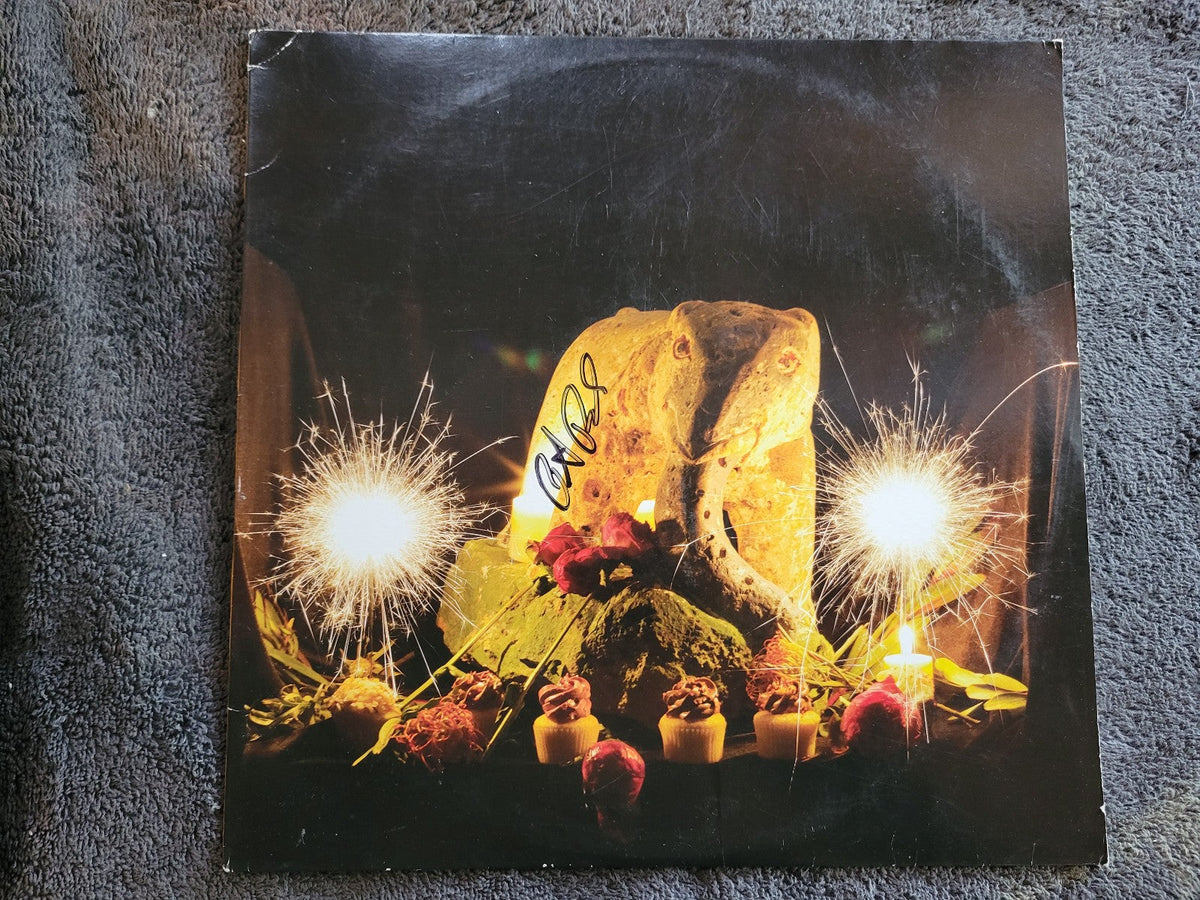 PETER BUCK REM SELF TITLED S/T AUTOGRAPHED