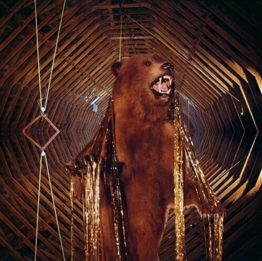 My Morning Jacket - It Still Moves (2xLP-Golden Smoke Vinyl)