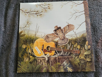 DANDY WARHOLS THIS MACHINE