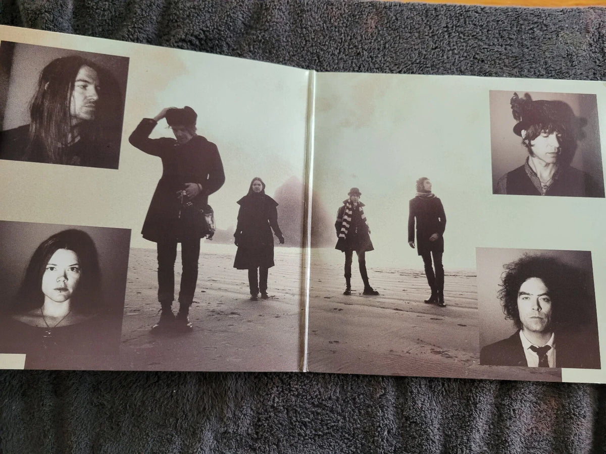 DANDY WARHOLS THIS MACHINE