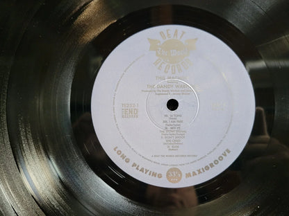 DANDY WARHOLS THIS MACHINE